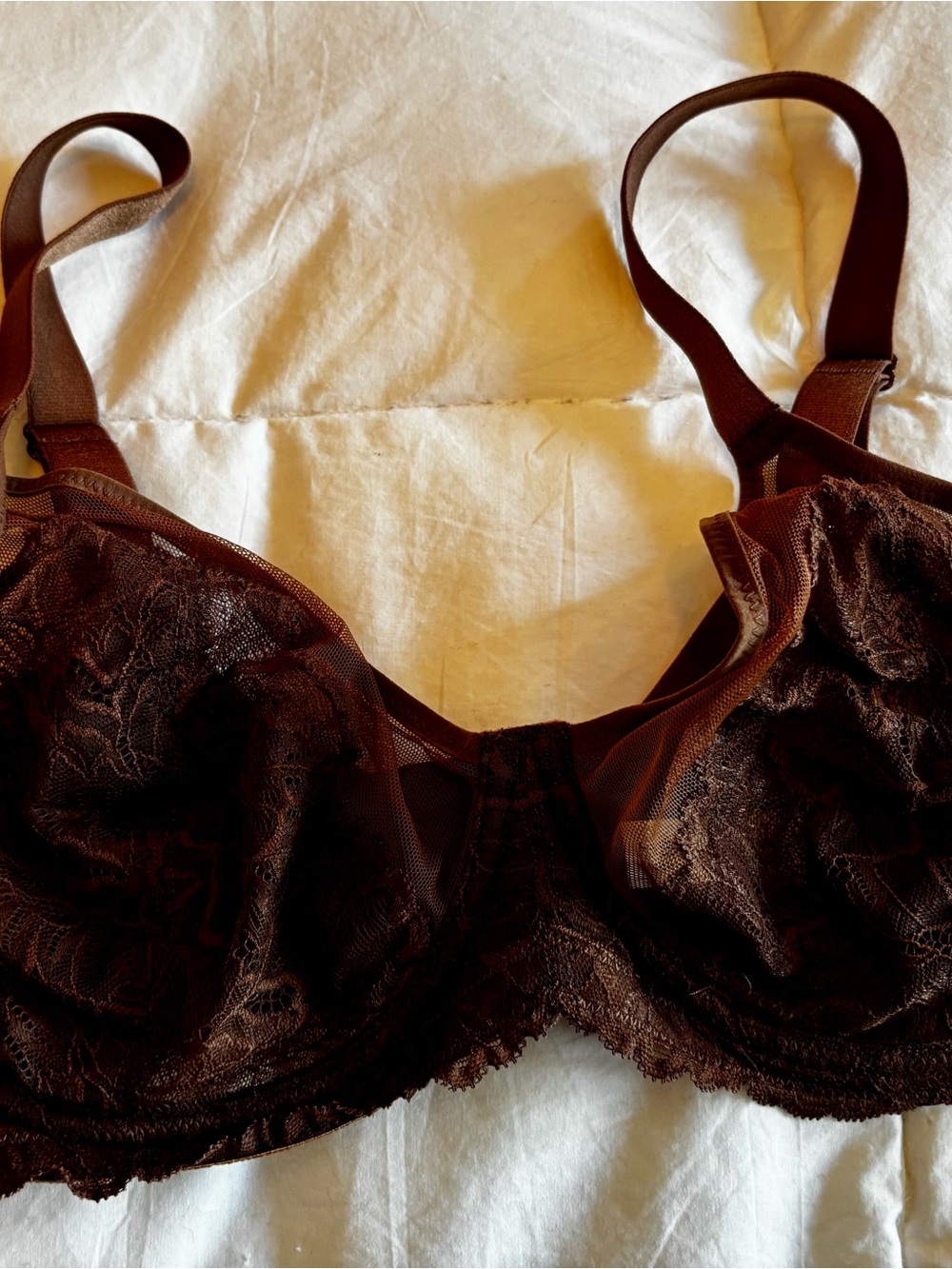 HSIA Lace Underwire Bra in Chocolate Brown